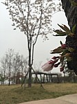 Lee Younghyeon